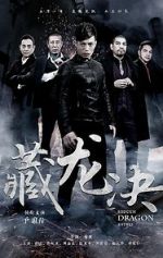 Watch Hidden Dragon Battle 123moviesFree