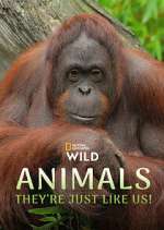 Watch Animals, They\'re Just Like Us! 123moviesFree
