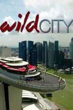 Watch Wild City 123moviesFree