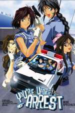 Watch You're Under Arrest 123moviesFree