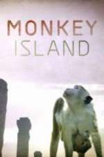 Watch Monkey Island 123moviesFree