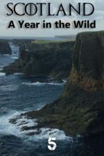 Watch Scotland: A Wild Year 123moviesFree