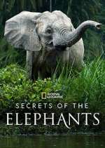 Watch Secrets of the Elephants 123moviesFree