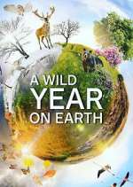 Watch A Wild Year on Earth 123moviesFree