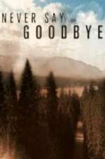Watch Never Say Goodbye 123moviesFree
