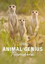 Watch Animal Genius 123moviesFree