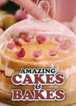 Watch Amazing Cakes & Bakes 123moviesFree