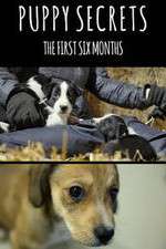 Watch Puppy Secrets: The First Six Months 123moviesFree