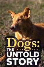 Watch Dogs: The Untold Story 123moviesFree