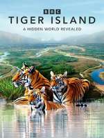 Watch Tiger Island 123moviesFree