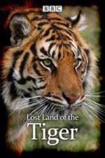 Watch Lost Land of the Tiger 123moviesFree