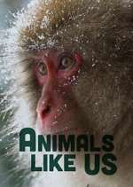 Watch Animals Like Us 123moviesFree