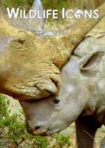 Watch Wildlife Icons 123moviesFree
