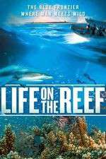 Watch Life on the Reef 123moviesFree