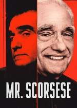 Watch Mr. Scorsese 123moviesFree