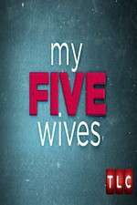 Watch My Five Wives 123moviesFree