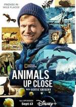 Watch Animals Up Close with Bertie Gregory 123moviesFree