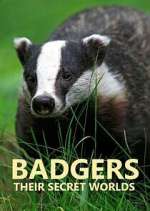 Watch Badgers: Their Secret Worlds 123moviesFree