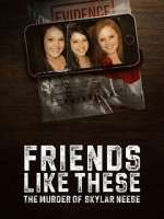 Watch Friends Like These: The Murder of Skylar Neese 123moviesFree