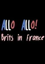 Watch Allo Allo! Brits in France 123moviesFree