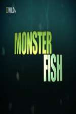 Watch National Geographic Monster Fish 123moviesFree