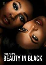 Watch Tyler Perry\'s Beauty in Black 123moviesFree