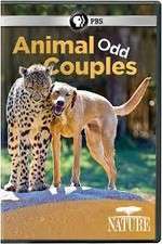 Watch Animal Odd Couples 123moviesFree