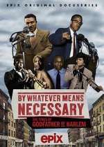 Watch By Whatever Means Necessary: The Times of Godfather of Harlem 123moviesFree
