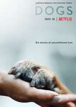 Watch Dogs 123moviesFree
