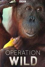 Watch Operation Wild 123moviesFree