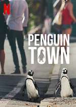 Watch Penguin Town 123moviesFree