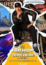 Watch Hip Hop Was Born Here 123moviesFree