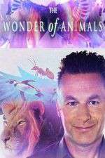 Watch The Wonder of Animals 123moviesFree