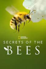 Watch Secrets of the Bees 123moviesFree