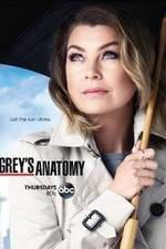 Watch Grey's Anatomy 123moviesFree