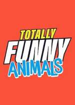 Watch Totally Funny Animals 123moviesFree