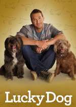 Watch Lucky Dog 123moviesFree