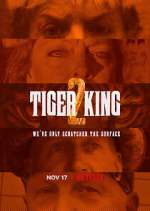 Watch Tiger King: Murder, Mayhem and Madness 123moviesFree
