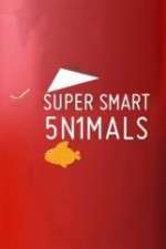 Watch Super Smart Animals 123moviesFree