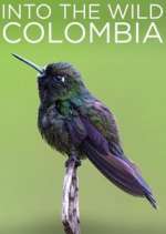 Watch Into the Wild Colombia 123moviesFree