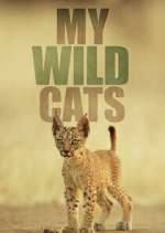 Watch My Wild Cats 123moviesFree