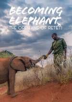 Watch Becoming Elephant: The Orphans Of Reteti 123moviesFree