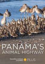Watch Panama's Animal Highway 123moviesFree