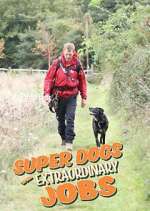 Watch Super Dogs with Extraordinary Jobs 123moviesFree