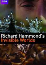 Watch Richard Hammond's Invisible Worlds 123moviesFree
