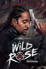 Watch Wild Rose 123moviesFree
