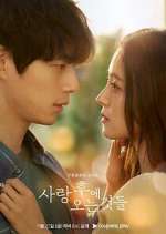 Watch What Comes After Love 123moviesFree