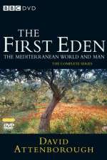 Watch The First Eden 123moviesFree