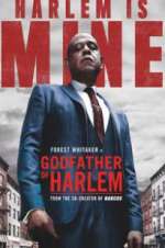 Watch Godfather of Harlem 123moviesFree