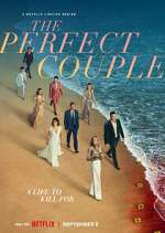 Watch The Perfect Couple 123moviesFree